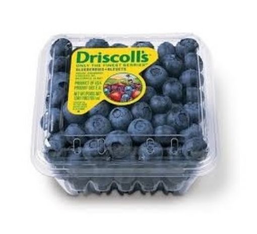 صورة توت ازرق